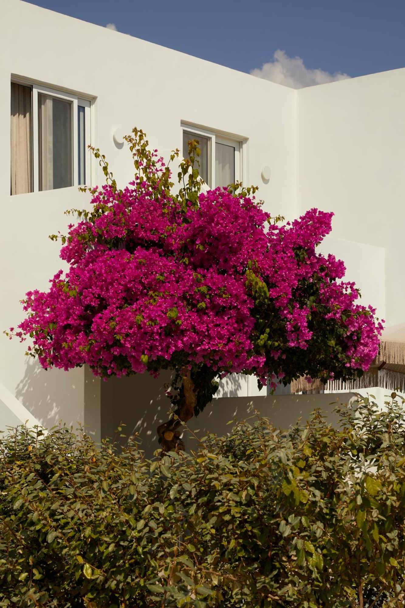 Absolute Kiotari Resort Asklipiion Exterior photo