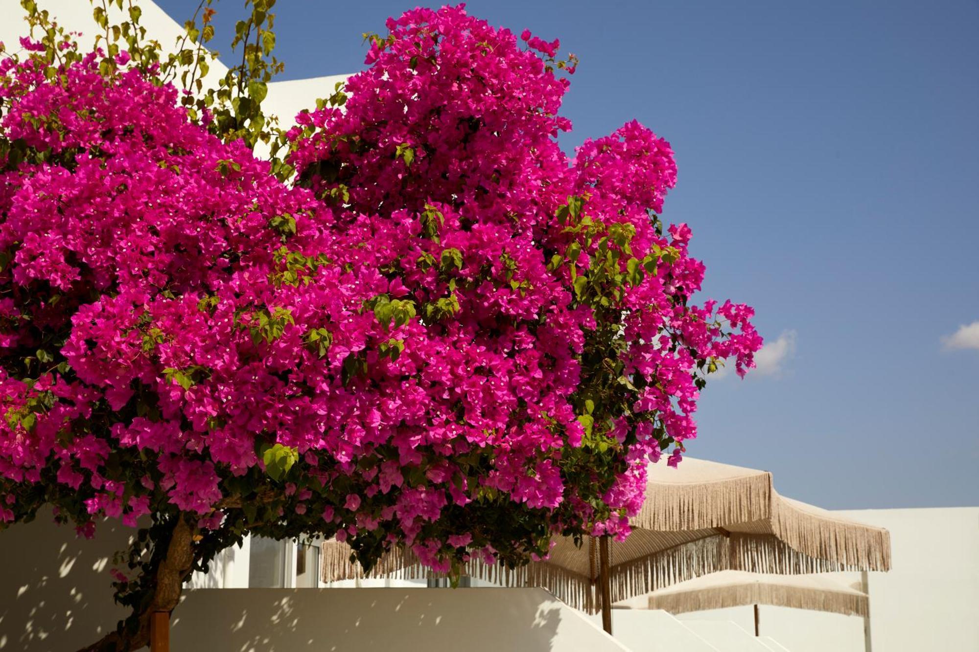 Absolute Kiotari Resort Asklipiion Exterior photo